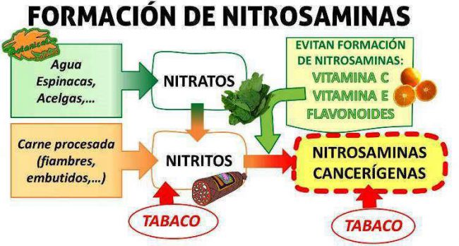 Esquema de los alimentos con nitritos nitratos y nitrosaminas