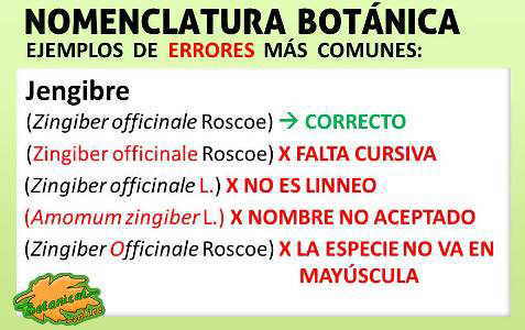 nomenclatura nombre cientifico plantas escribir latin cientificamente