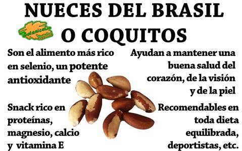 Propiedades de las nueces del Brasil o coquitos, beneficios