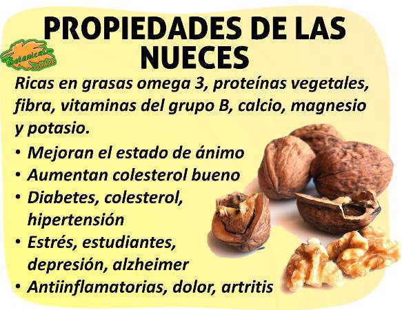 Propiedades de las nueces y sus beneficios