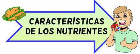 nutrientes para niños de escuela