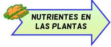 nutrientes plantas