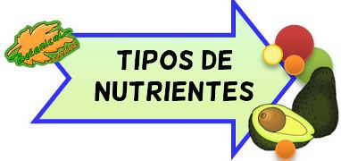 tipos alimentos y nutrientes que aportan