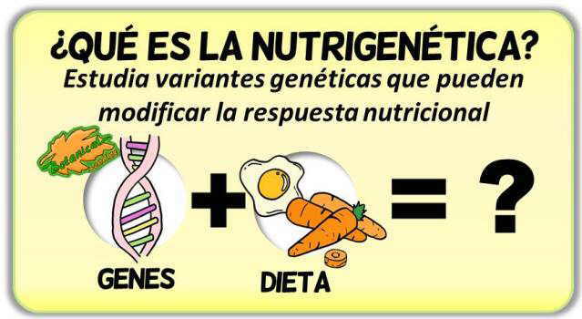 definicion nutrigenetica dieta personalizada por los genes