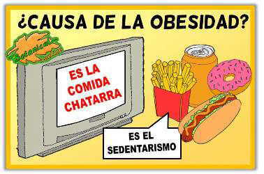 causas entorno ambiente obesogenico, obesidad infantil epidemia de la obesidad productos alimentarios alimentacion