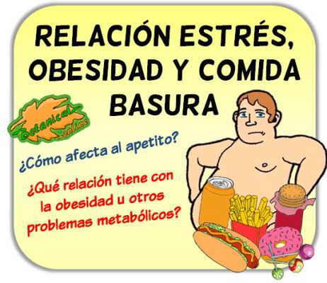 relacion estres cortisol sobrepeso y obesidad