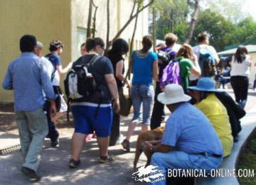 gente con obesidad por la calle