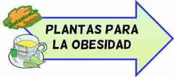 plantas para la obesidad