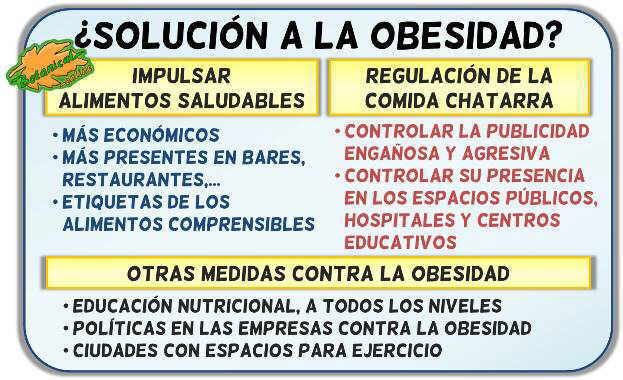 debate obesidad entorno ambiente obesogenico obesidad infantil epidemia comida chatarra basura salud publica educacion nutricional