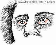 irritacion ocular en intoxicación química