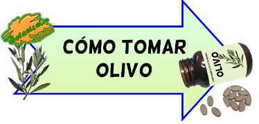 cómo tomar olivo