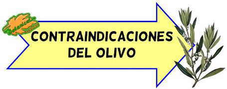 contraindicaciones del olivo