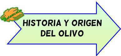 historia y origen del olivo