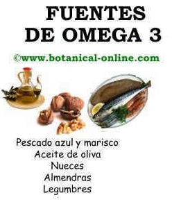 omega 3 alimentos