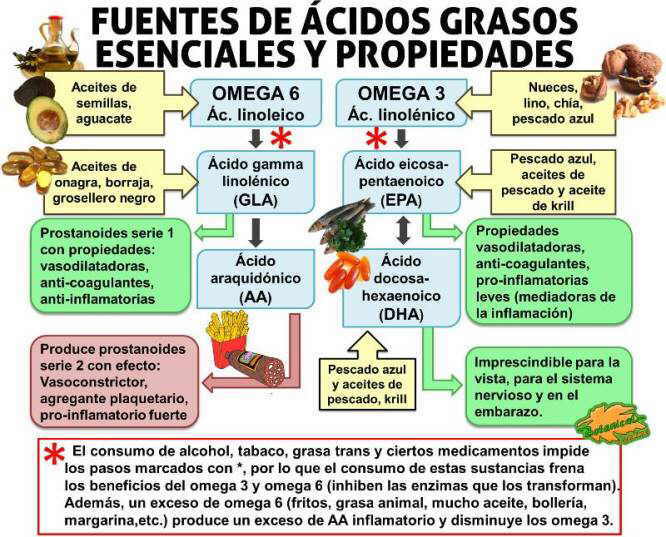 esquema fuentes alimentarias de acidos grasos esenciales omega