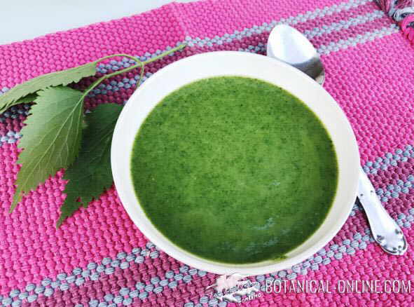 sopa de ortiga dejar de fumar