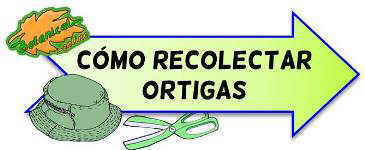 recoleccion ortigas como recoger