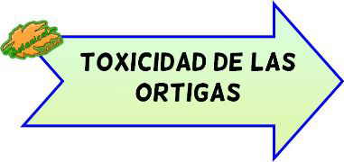 toxicidad de las ortigas