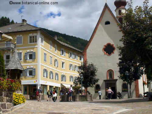 iglesia de san antonio