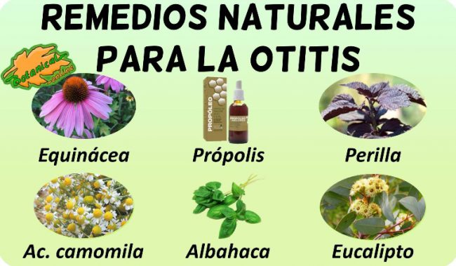 remedios para la otitis con plantas medicinales