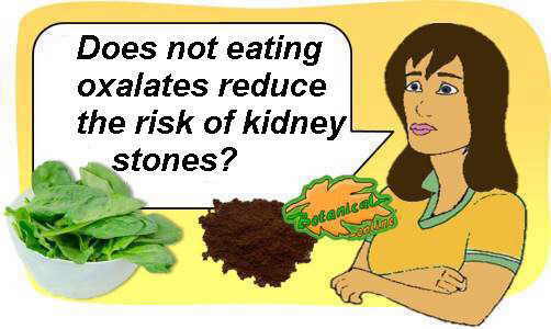 oxalates in kidney stones