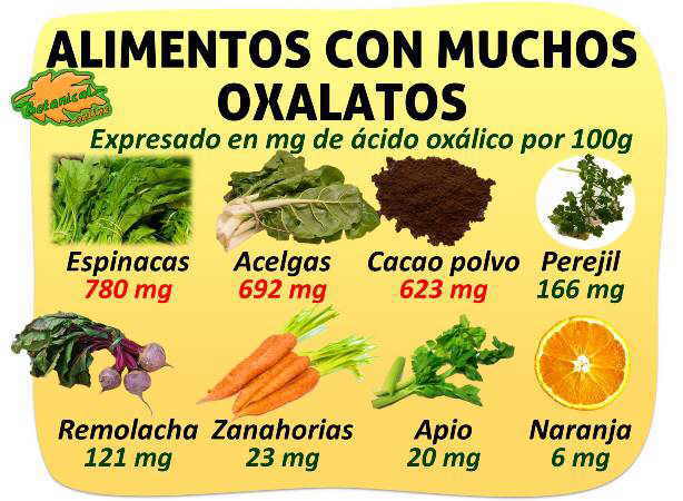contenido en oxalatos de los alimentos (acido oxalico)