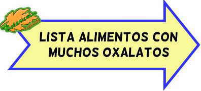 tabla alimentos con muchos oxalatos