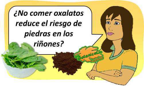 Que comer cuando se tiene piedras en los rinones