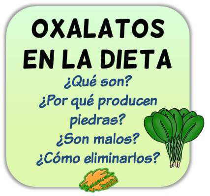 oxalatos alimentos dudas piedras preguntas que son