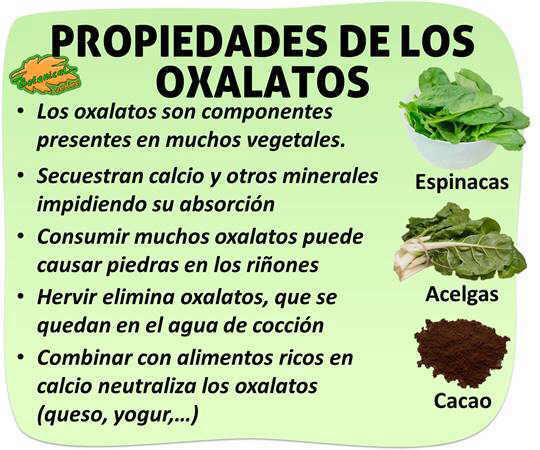 propiedades y caracteristicas de los Oxalatos, alimentos ricos y como eliminarlos