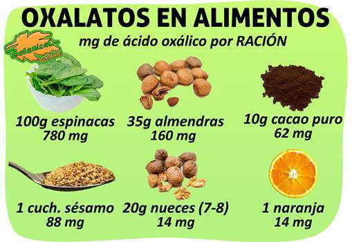 contenido en oxalatos frutos secos alimentos ricos por racion