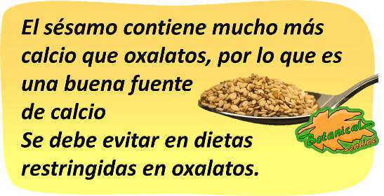 contenido en calcio y oxalatos de las semillas de sesamo 
