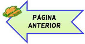 pagina anterior