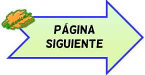 pagina siguiente