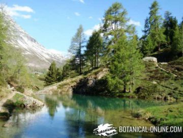 Lago de montaña