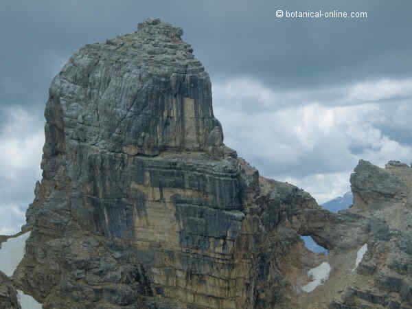 dolomitas fallarones