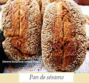 pan de sesamo