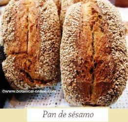 pan de sésamo