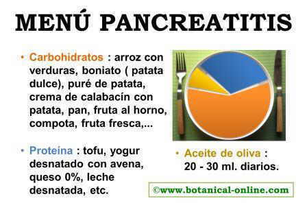 Carbohidratos, proteínas y grasas para la pancreatitis