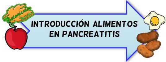 introduccion alimentos pancreatitis