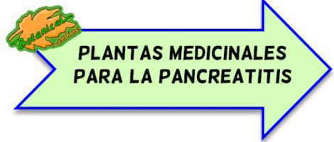 plantas medicinales pancreatitis