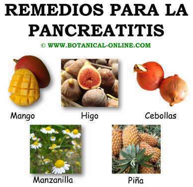 Remedios para la pancreatitis