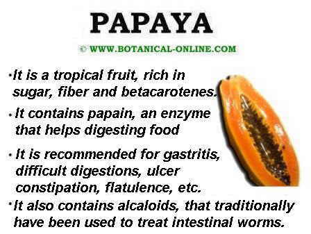 Main properties of papaya 