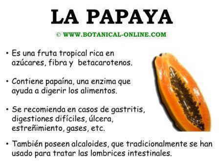 Propiedades de la papaya, zapote o lechosa