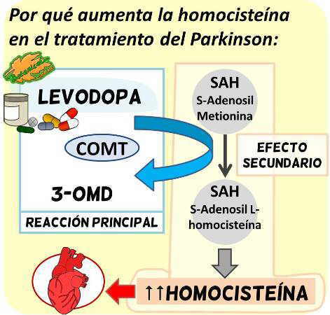 levodopa dopamina degradacion comt