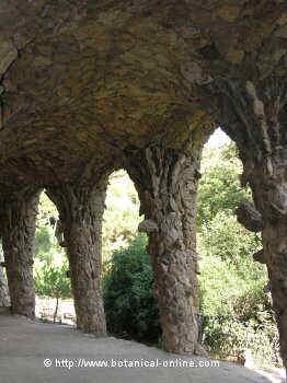 columnas jardines parque güell