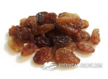 pasas sultanas corinto racion gramos