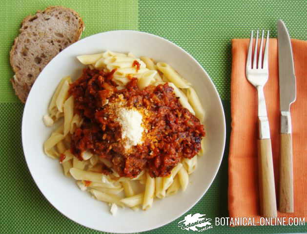 Plato de pasta grande con salsa de tomate