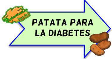 patata papa para la diabetes