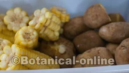 patatas y elotes ricos en hidratos de carbono